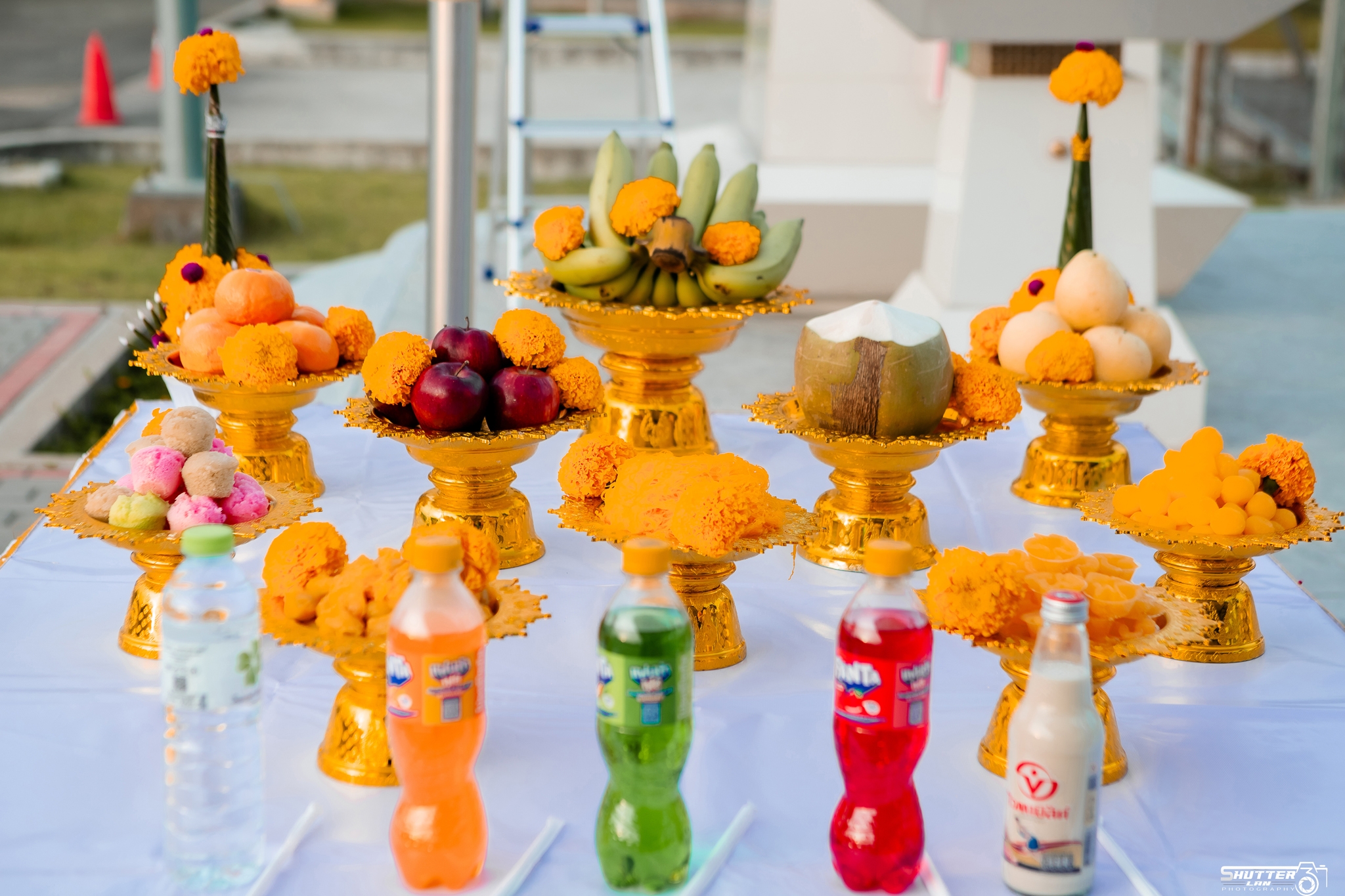 LINE_ALBUM_MARS 8-10-24_241021_1.jpg